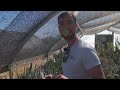 Prickly Prospects CACTI & SUCCULENT Nursery Tour — Ep. 326