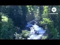 waterfalls videos