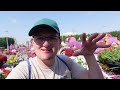 We Went To The BEAUTIFUL Dubai Miracle Garden! FULL Tour & Review