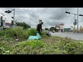 Randomly clear overgrown grass at a dangerous intersection to revive urban beauty