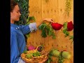 Valuable Gardening Hacks Only Professionals Know!