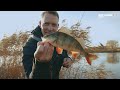 Perch Academy - Episode 3 - Dropshot Fishing