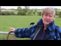 An introduction to cattle handling systems with Miriam Parker
