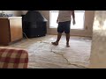 Carpet Cleaner Rental I Home Depot rental machine I DIY Carpet Cleaning