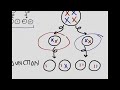 Chromosomal Abnormalities, Aneuploidy and Non-Disjunction