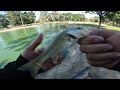 Urban Pond Bass Fishing (Episode 1)