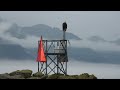 Witness the breathtaking beauty and untamed wildlife of Seward, Alaska - Season 10 (2023) Episode 33