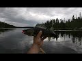 West Hawk Lake /// Battling the Wind for WALLEYE, PIKE & SMALLMOUTH