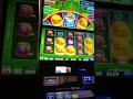 🐷Huff ‘N More Puff🍀🎊👏 #jackpot #pokiewins #slots #casino #sydney #wow #win #tiktok