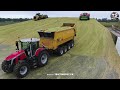 Maize Silage on Largest Dairy Farm in Holland | HUGE 75m3 4-axle Push-off Trailers | Van Bakel