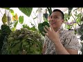 He has 150 plants in his bedroom. Take a look inside! | Houseplanted