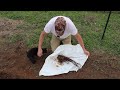 Bare Root Grapevine Planting And Soil Amendments