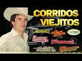 Chalino Sanchez, Los Tigres Del Norte, Los Tucanes De Tijuana y Mas 🔥 Puros Corridos Viejitos Mix 💥