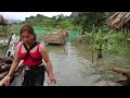 Floodwaters flooded the farm, washing away chickens, pigs, and fish - Nông trại cuộc sống