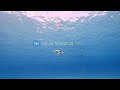 11HRS of 4K Turtle Paradise - Undersea Nature Relaxation Film + Meditation Music by Jason Stephenson
