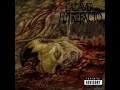 Cadaver Putrefacto - Frenética Evisceración