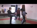 Donnie Yen Training