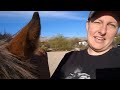 8 DAYS of MEET MY HORSES | Equestrian Vlogmas #8