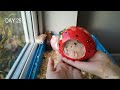 Hamster Babies Growing Up - Day 1 to Day 30 Best Moments