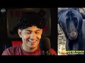 जब खतरों के खिलाड़ी में आ गये DOG भाई! FUNNIEST ANIMAL COMEDY VIDEOS CAUGHT ON CAM 20