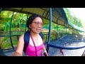 Let’s  Go With  Me  in. Cebu  Safari#marivetboysillotravel #cebuadventure#Zoo