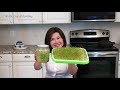How to Grow Alfalfa Sprouts - Jar vs. Tray - Easy Method 发苜蓿芽