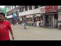 Cows on Parade in Dharamsala India