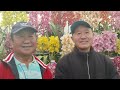 Mirik Cymbidium Flower Show & Competition-2024!!!