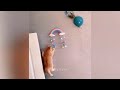 Try Not To Laugh🤣🐶Funniest Cats and Dogs 2024 😸