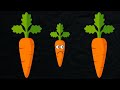 Let's All Learn About Carrots - How to Grow Carrots, Carrot Facts & Figures, Carrot History