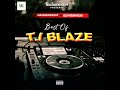 Best of T.I Blaze