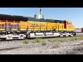 BNSF Coal Train, Hudson, Colorado. 9/7/24