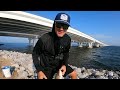Tossing Bait Under a Giant Bridge and Caught Dinner
