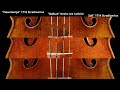 Stradivarius and Guarnerius Violins: The 