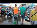 Ever Seen Largest Fish Distribution in Cambodia - Fish Market Scenes and People Activities