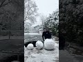 Biggest Snowball vs Flip ❄️