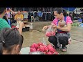 The Hardships of the Rainy Season: Mother and Son Harvest Red Dragon Fruit on a Rainy Day/Le Thi Hon