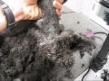 Matted Poodle.wmv