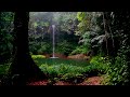 Relaxing forest fountain sounds with rain -Relaxing Natures Sounds