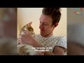 Cat Stops At Nothing To Be Around His Mom's Boyfriend | The Dodo