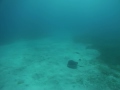 Rays, Marina Cay BVI