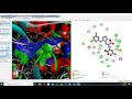 Ligand Protein interaction using Discovery Studio
