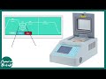 qPCR details | quantitative real time PCR | RT PCR | Biotechniques