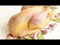 Why You Should Keep Guinea Fowl!