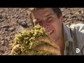 Bear Grylls’ Most Extreme Survival Skills | Man vs. Wild | Discovery
