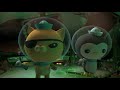 @Octonauts - Drilling Through the Ice | Compilation | Wizz Cartoons