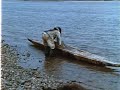 Tuktu- 2- The Big Kayak (how to build a kayak out of driftwood)