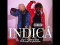 INDICÁ (feat. Zig g)