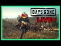 DAYS GONE STREAM HIGHLIGHTS