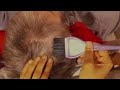 ASMR Relaxing Scalp Massage, Scratch, & Hair Play, Minimal Light Whispering, Real Person